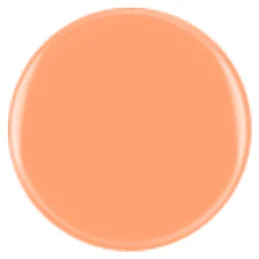 Alternative view of DIVA 213 - Tropical Coral